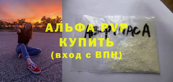 PSILOCYBIN Чекалин