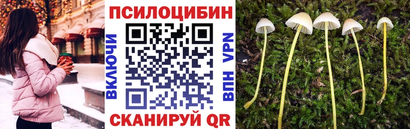 kraken   Макушино  Галлюциногенные грибы ЛСД 